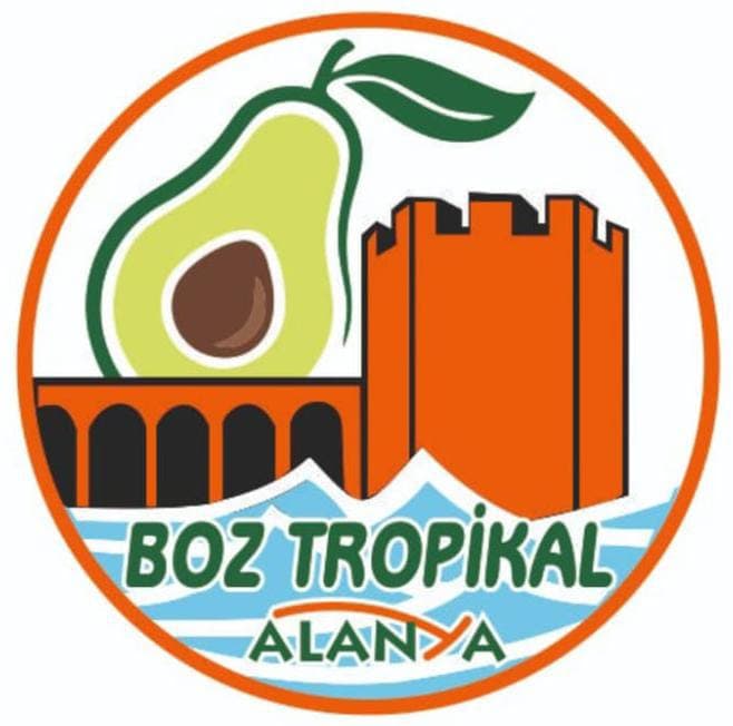 BOZ TROPİKAL